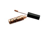 PERFECT POUT LIP OIL